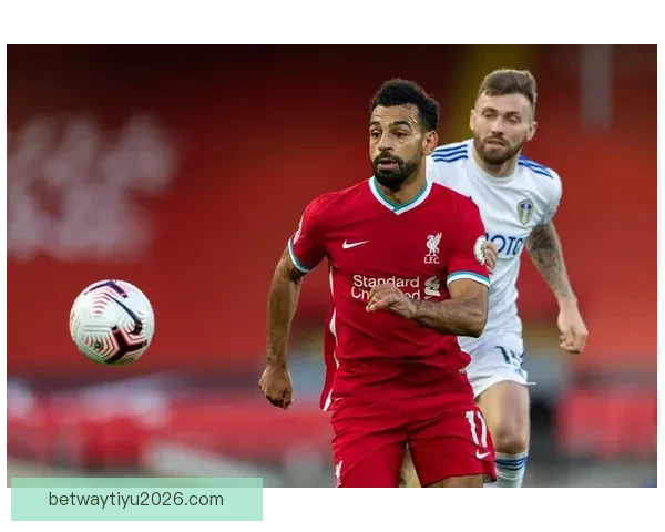 深度解析2026世界杯竞猜盘口走势与热门球队胜负概率全面前瞻