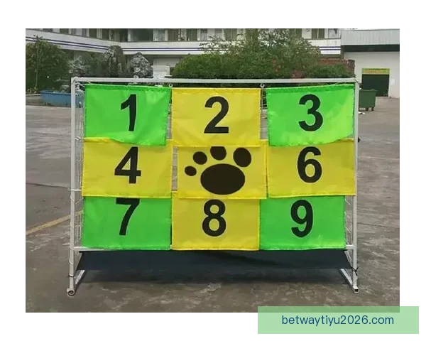 世界杯竞猜活动全程参与赢取豪华奖品助你畅享足球盛宴