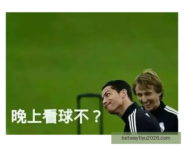 世界杯赛事深度分析与精准买球推荐全指南