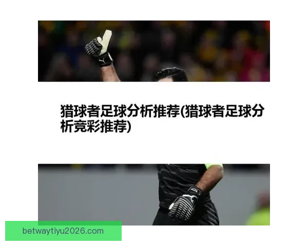 世界杯赛事深度分析与精准体育竞猜策略分享